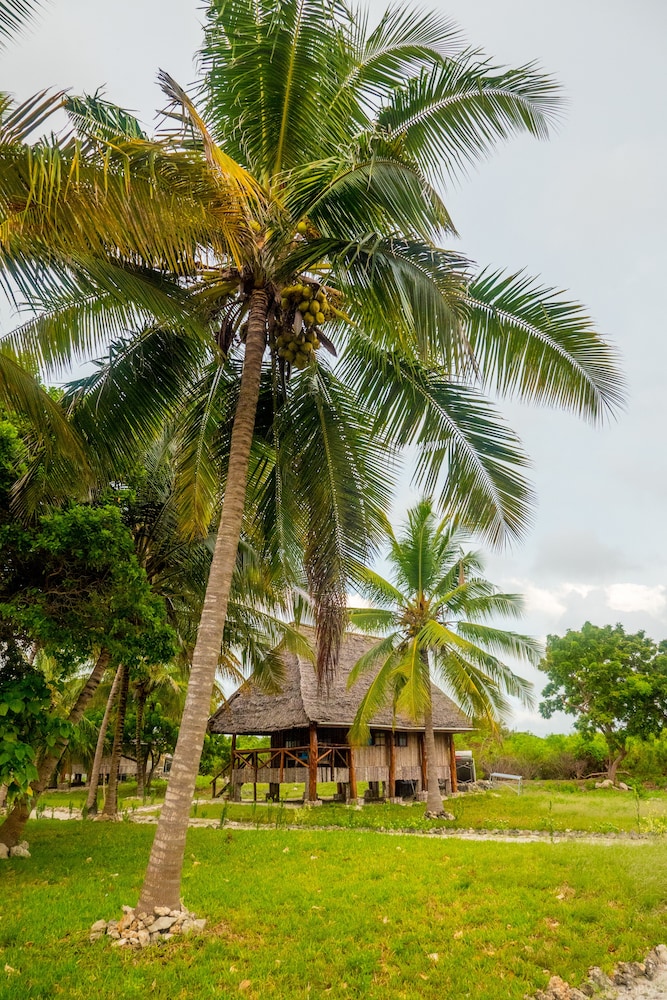 Pemba Lodge 33/50