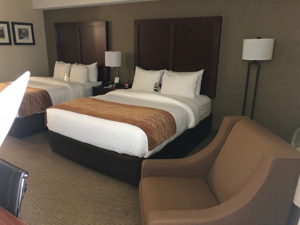 Comfort Inn and Suites Near Danville Mall 13/31