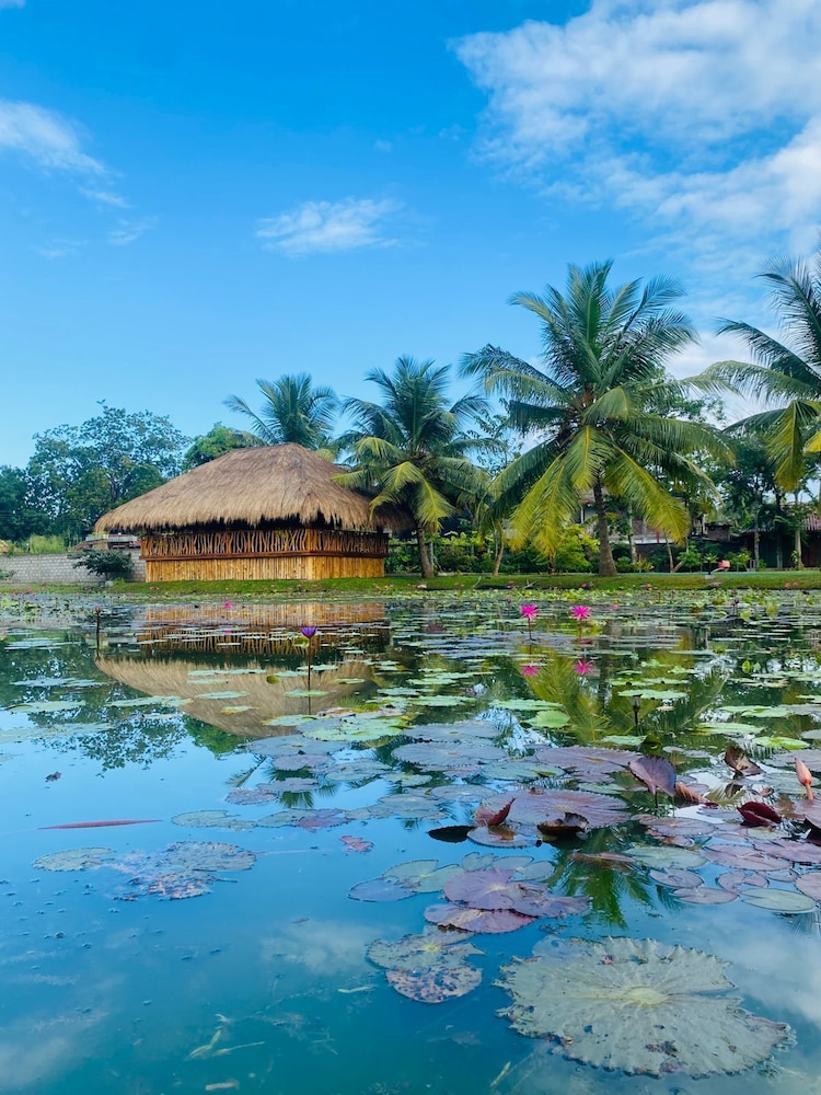 Avasta Resort And Spa 41/50