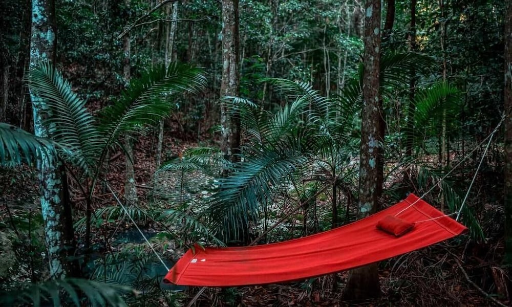 NARROWS ESCAPE RAINFOREST RETREAT 19/50