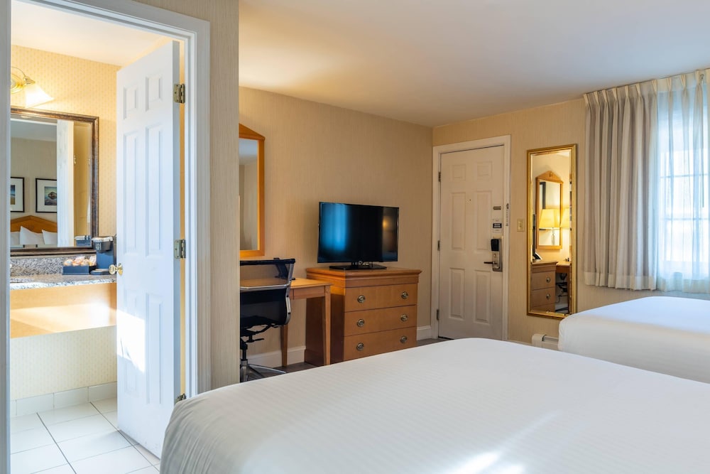 Standard, 2 Double Beds