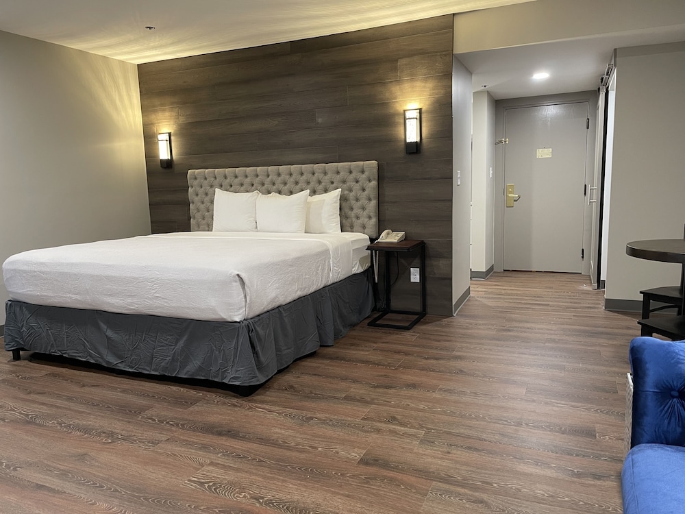 Premium, Studio, Suite, King Bed, Sofa