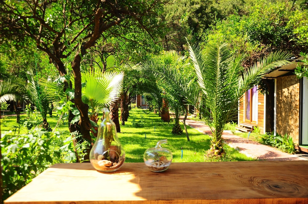Likya Evleri Olympos - Adults Only 12/27