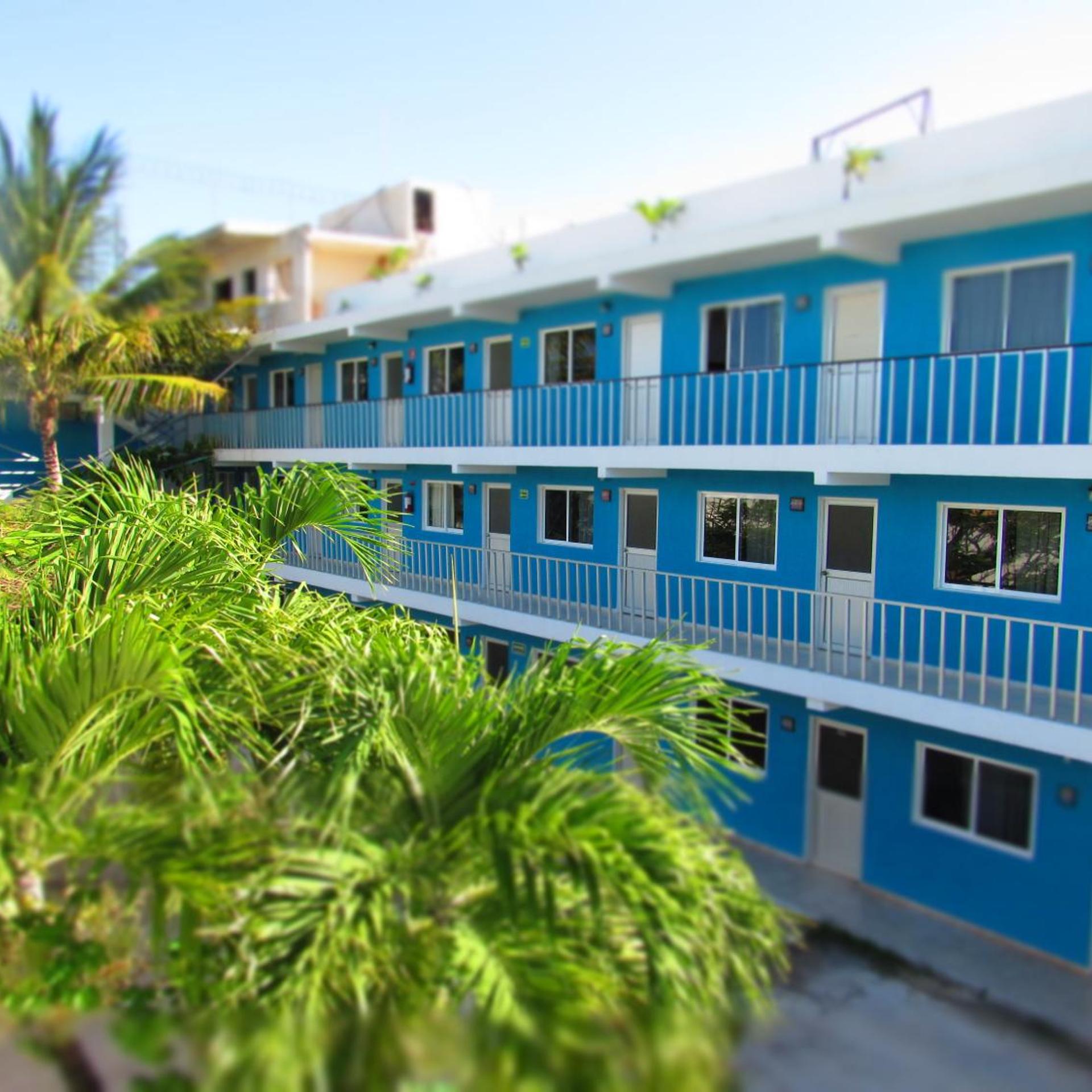 Blue Coconut Cancun 5/52