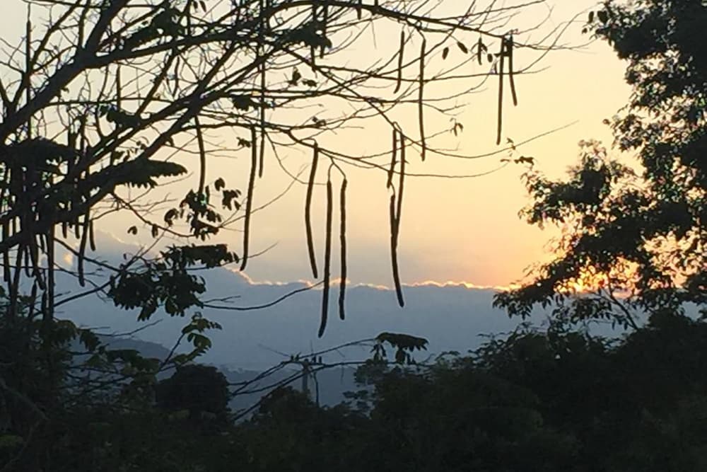 Khaoyai Nature Retreat 28/48
