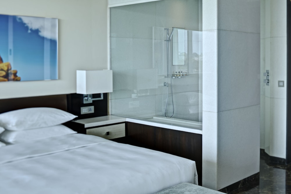 PARK HYATT HYDERABAD 13/69