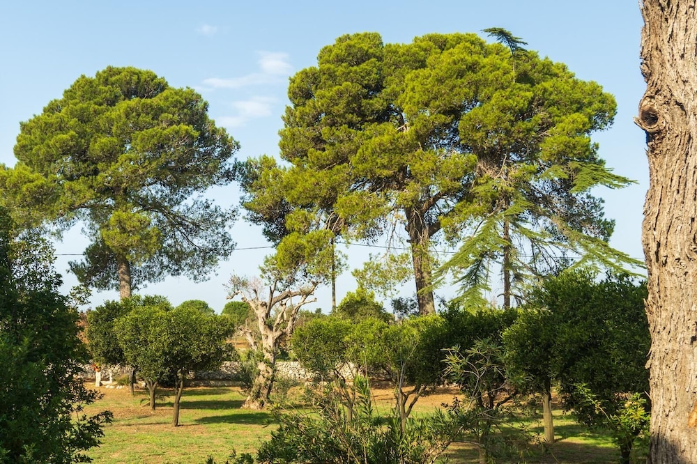 Agriturismo Villa Coluccia 41/50