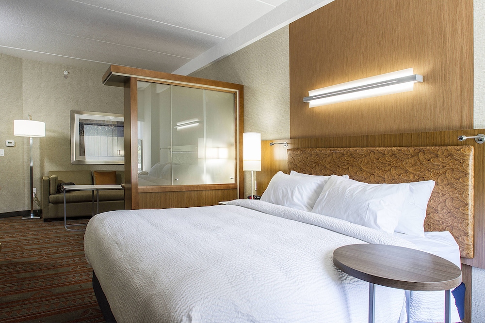 Springhill Suites Deadwood 6/34