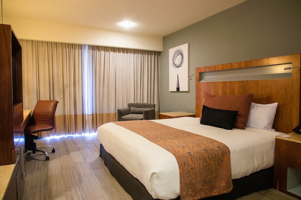 Real Inn Guadalajara Expo 19/79