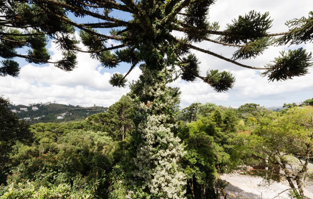 Recanto das Araucarias 59/65