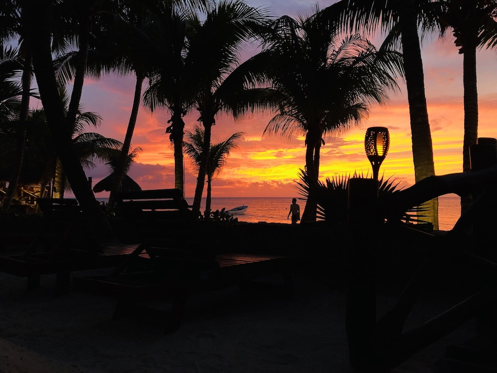 Beachfront Hotel La Palapa - Adults Only 28/36