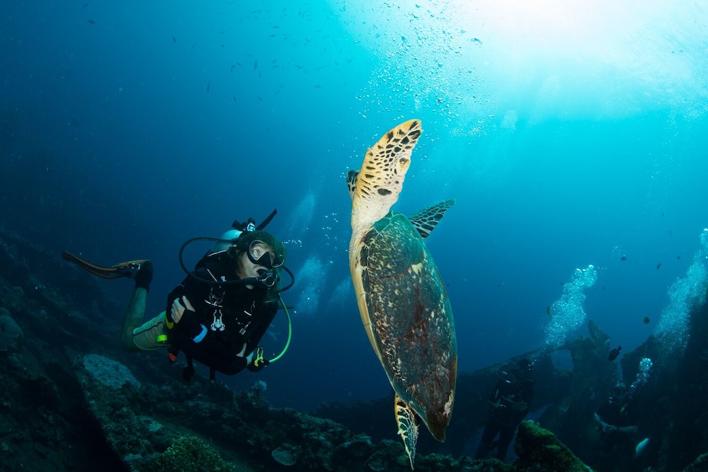 Bali Dive Resort And Spa photo2