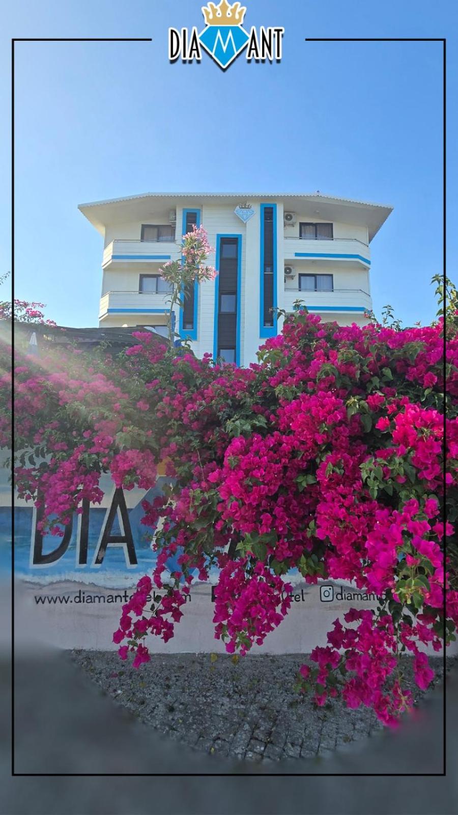 Diamant Otel 1/50