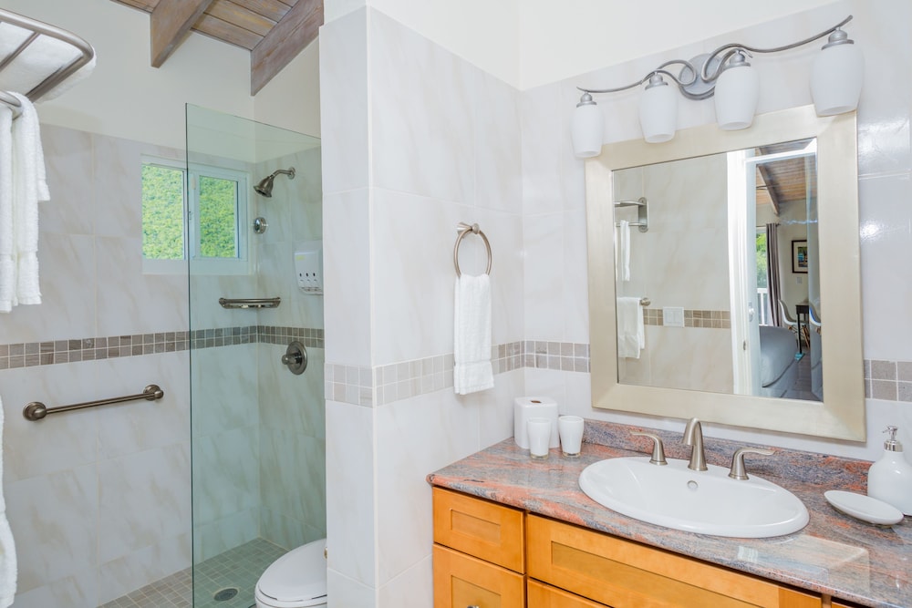 Mount Nevis Hotel and Beach Club 23/72
