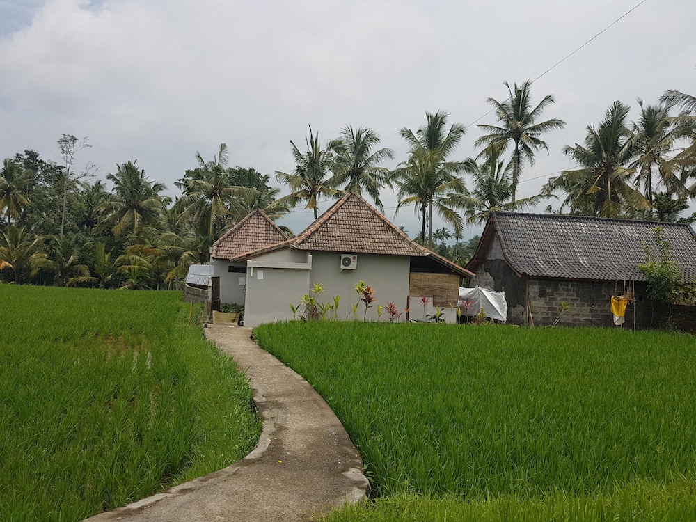 Buda Cottage Ubud 28/36