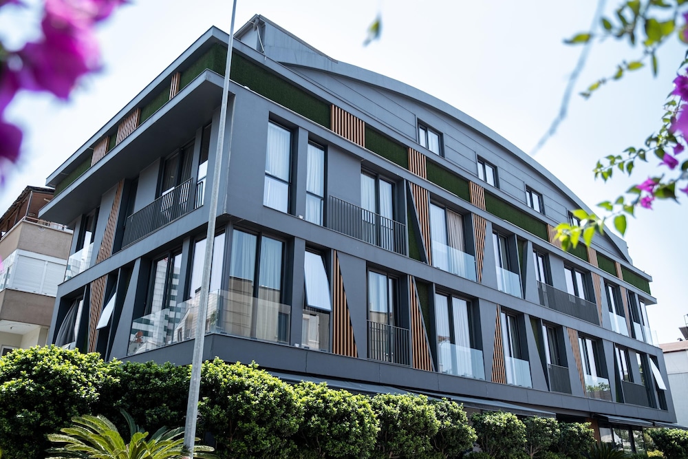 Loft 1502 8/64