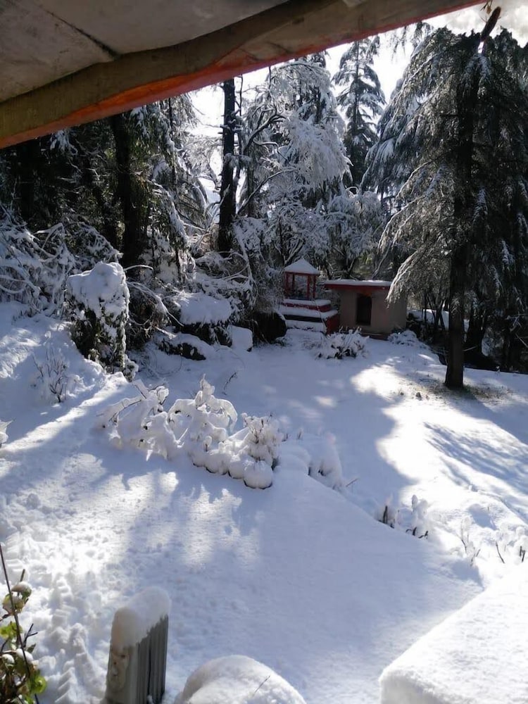 Mastiff Select Mandavya Dharamkot, McLeodganj 56/61