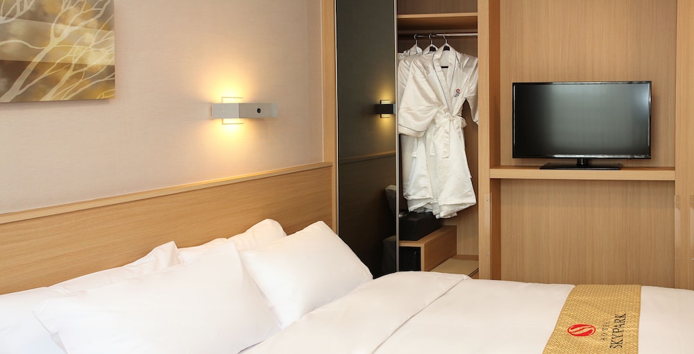 Hotel Skypark Dongdaemun 1 24/40