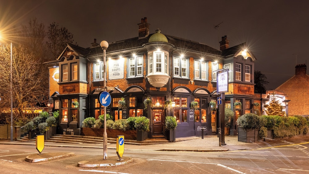 The Royal Oak 5/50