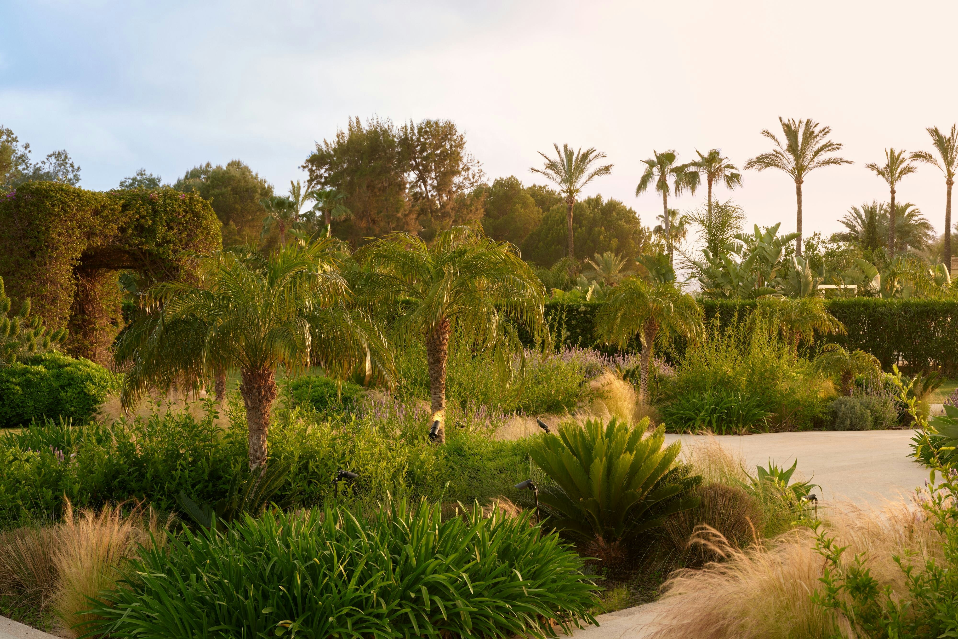 St Regis Mardavall Mallorca Resort 46/50