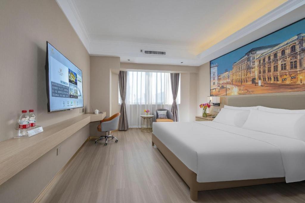 Vienna Hotel (Nanning Railway Station) 18/50