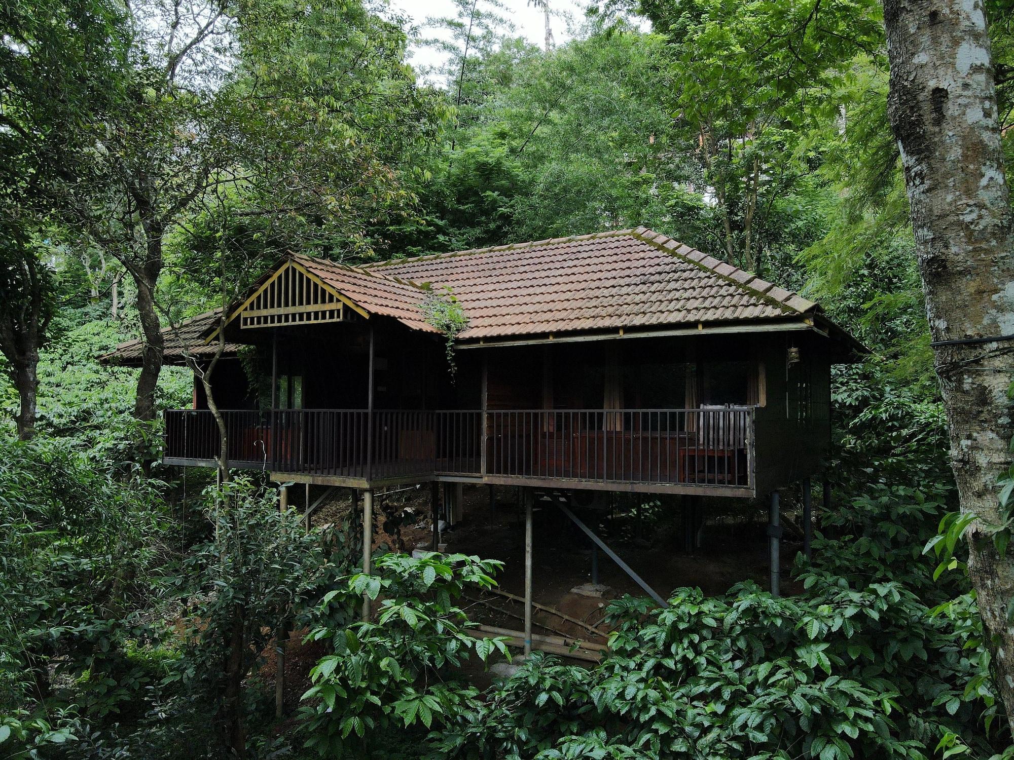 PLANET GREEN PLANTATION RESORTS 6/55