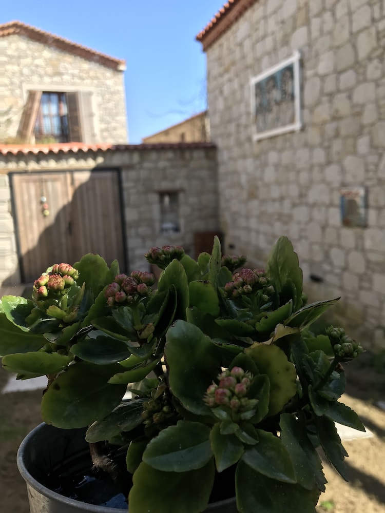 Alacati Cona Butik Otel 43/50