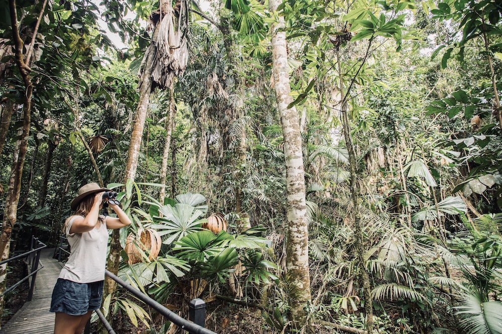 Daintree Wilderness Lodge 28/34