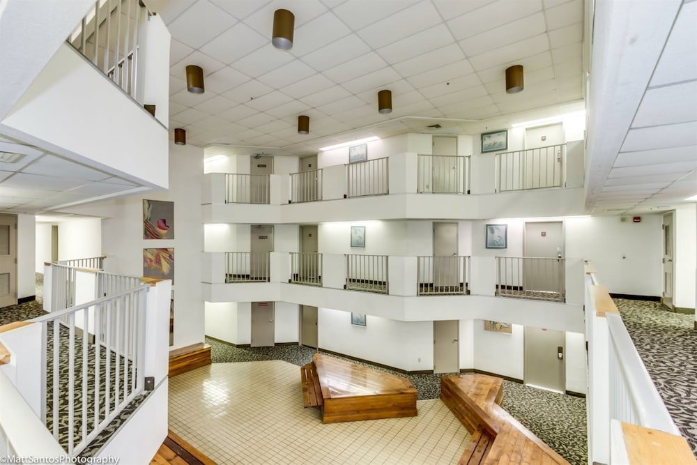Palace Resort 6/50