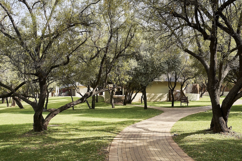 Letamo at Qwabi Private Game Reserve 31/48