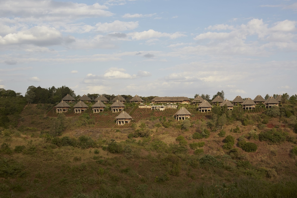 Neptune Ngorongoro Luxury Lodge - All Inclusive 28/50