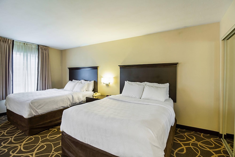 Extra, Executive, Suite, 2 Queen Beds, Sofa, Kitchen
