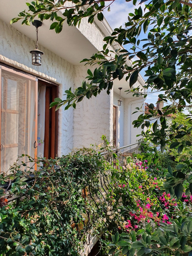 Monza House Otel 30/49