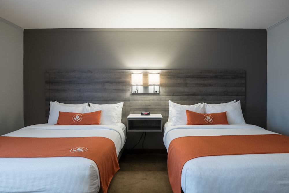 Drive Up, 2 Queen Beds