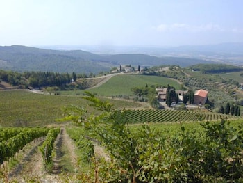 LOCANDA IL GALLO 24/24