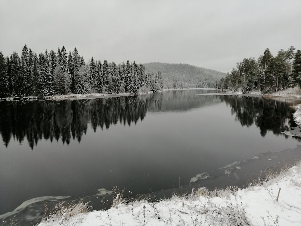 Vardshuset Lugnet 30/42