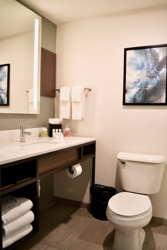 Hilton Garden Inn Columbus Grove City 45/58