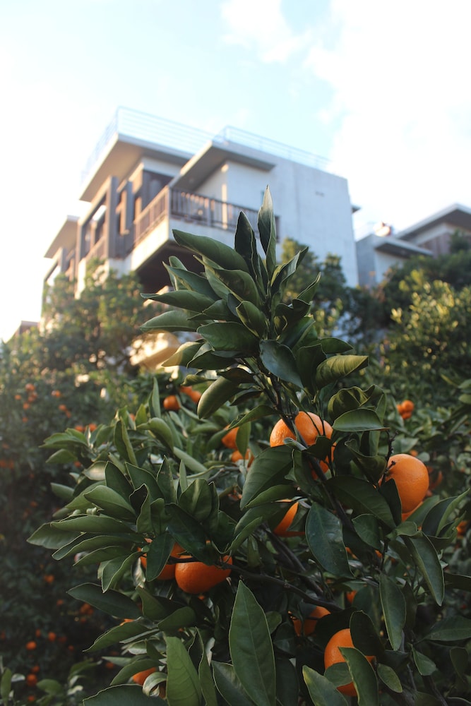Jejueco Suites 9/36
