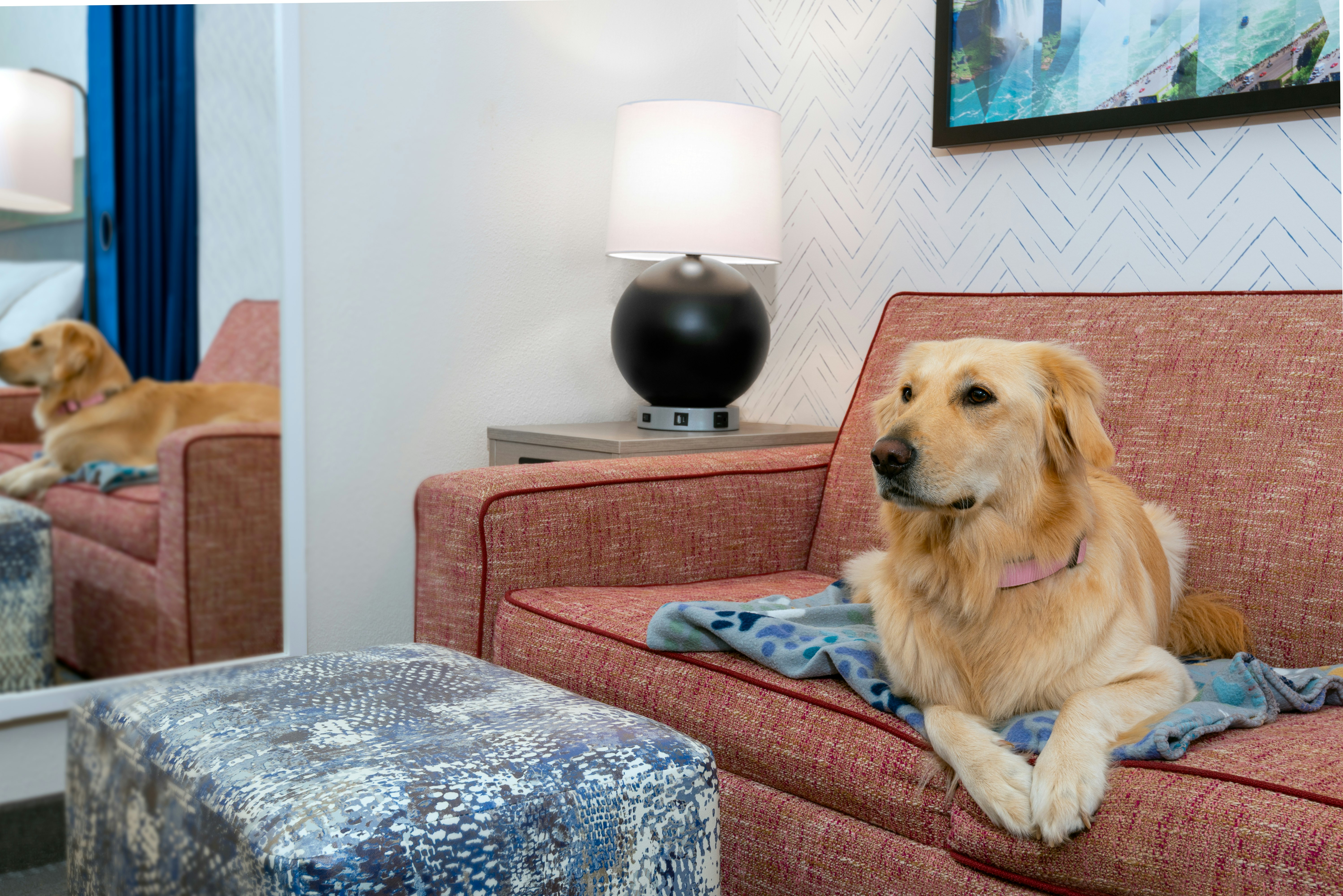 Home2 Suites By Hilton Buffalo Airport/Galleria Mall 17/44