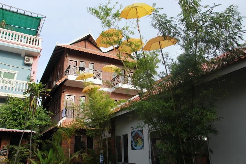 The Coconut House 3/50