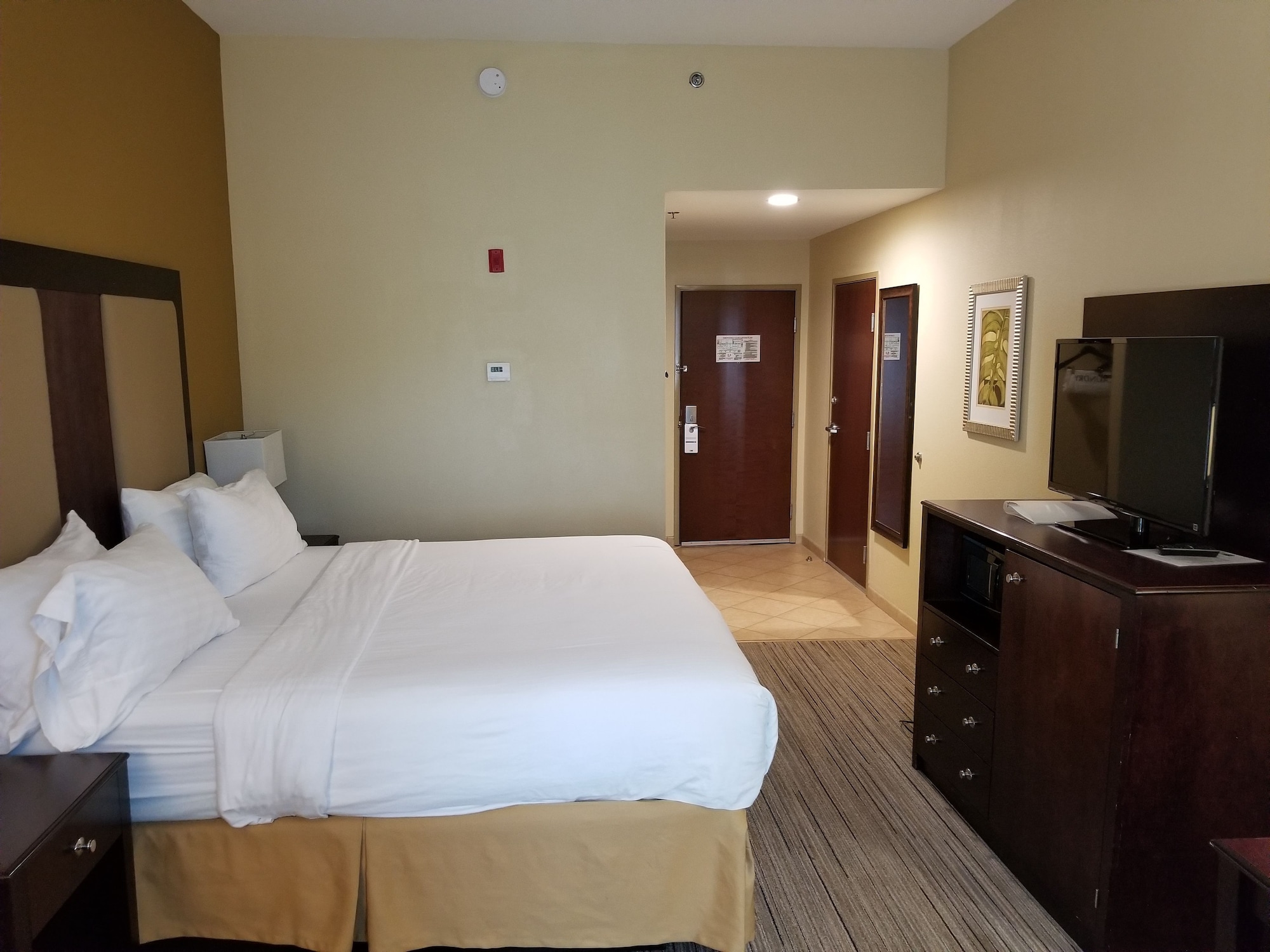 غرفة قياسية بسرير كينج، Holiday Inn Express Hotel And Suites Gulf Shores 4/6