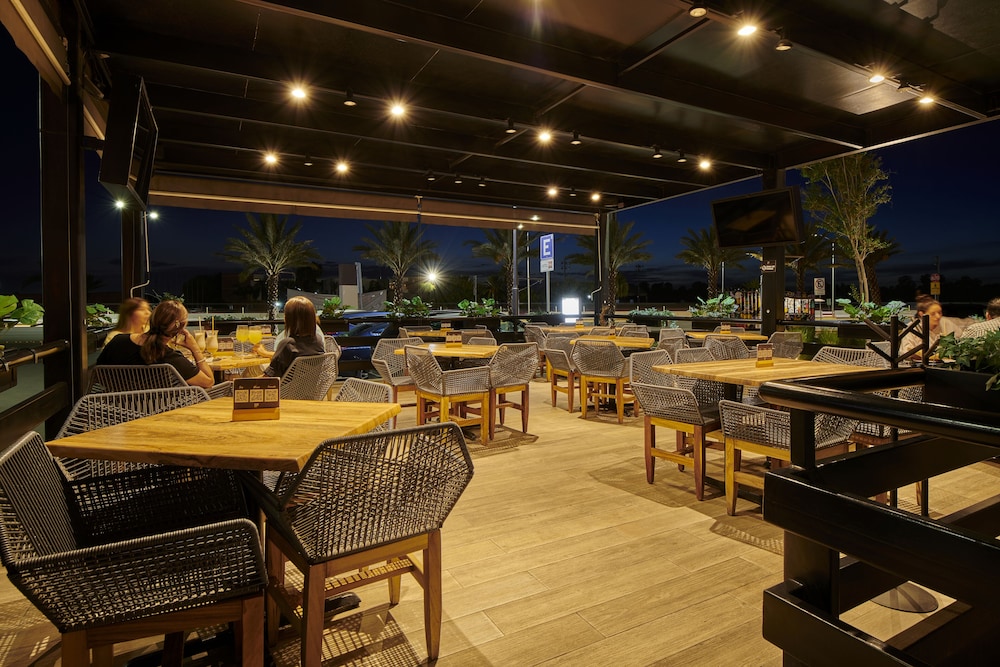 Ibis Torreon 31/49