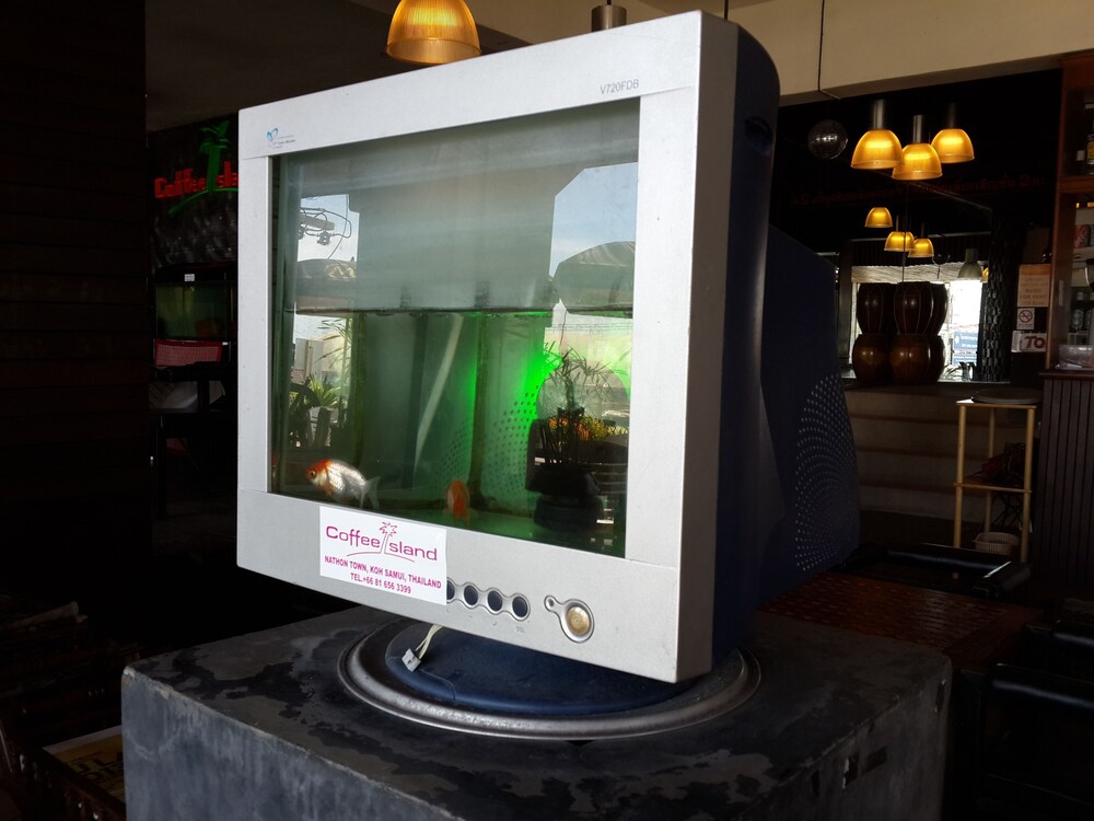 コーヒーアイランド 写真3