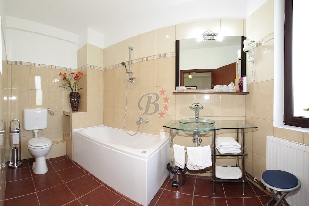 Bran Belvedere International 14/53