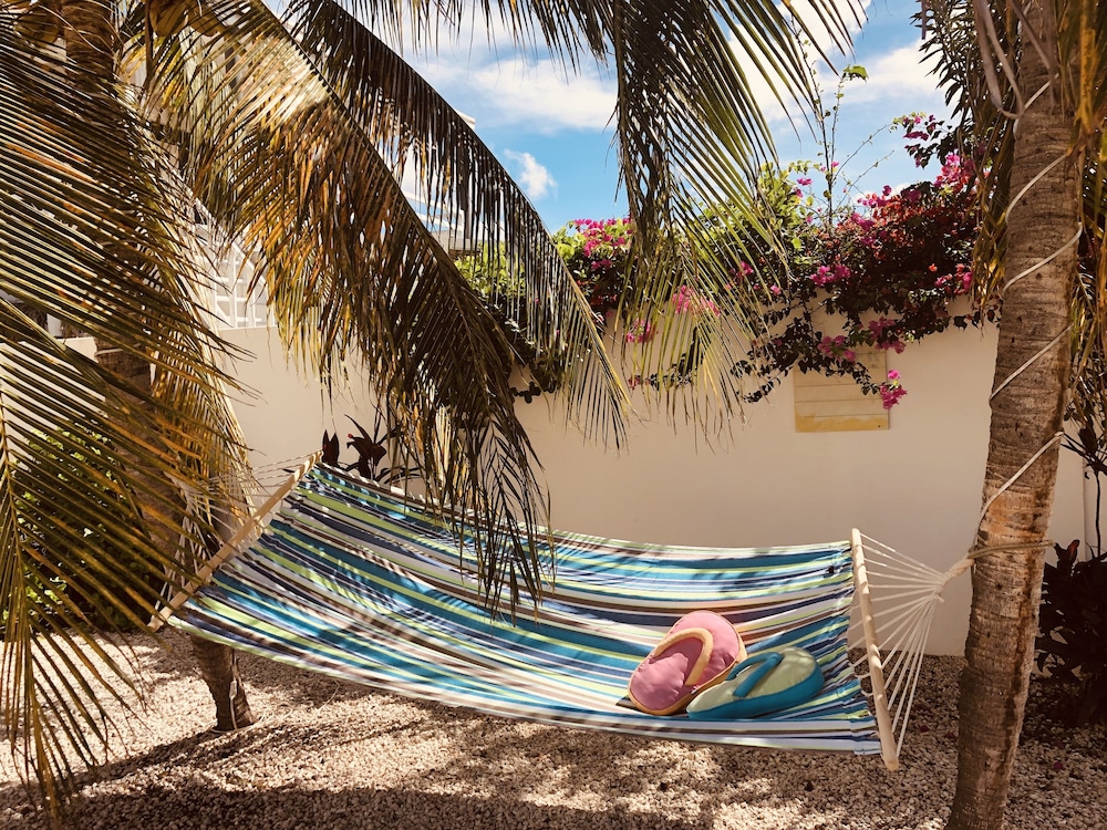 Karibu Aruba 34/55