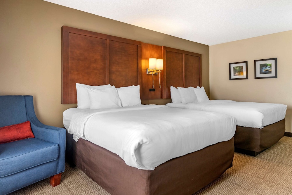 Comfort Inn Suites Statesboro 11/34