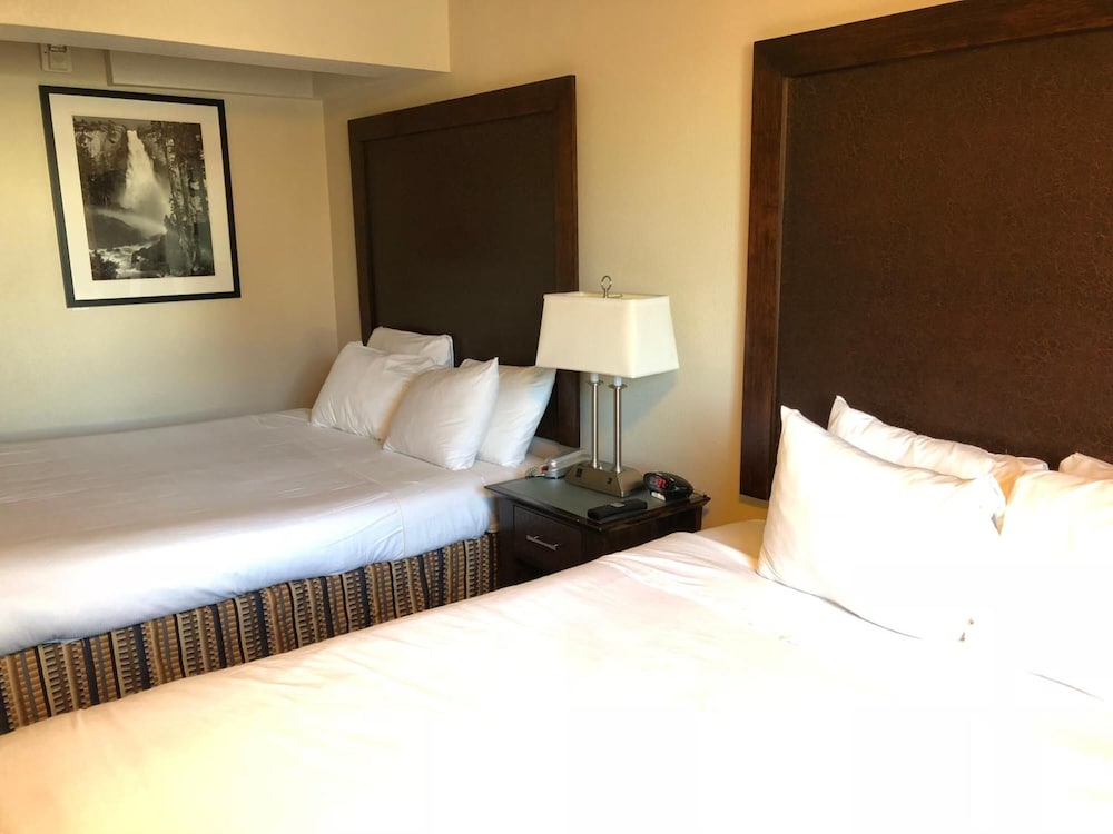 District Hotel 26/50