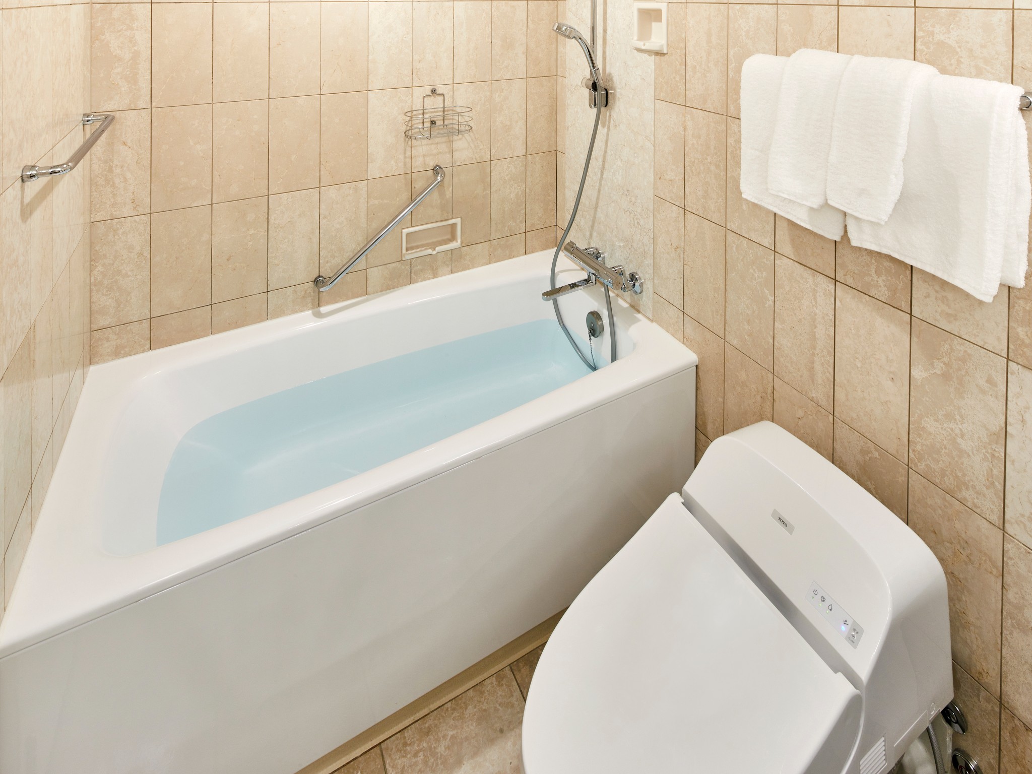 Nikko, Standard, Single, Twin Beds, Lounge Access، Grand Nikko Tokyo Bay Maihama 2/2