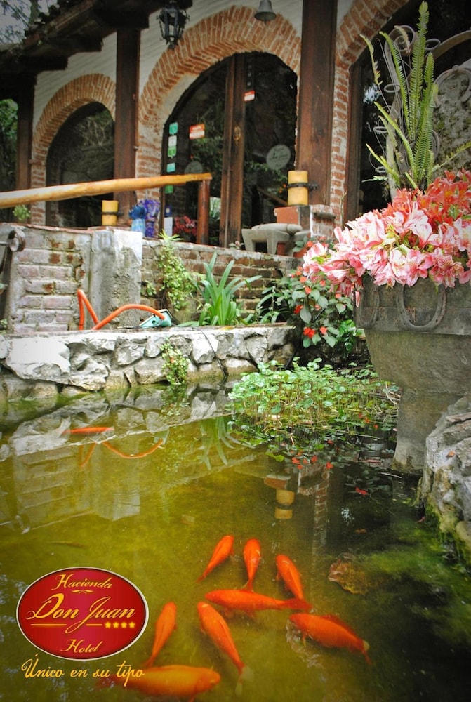 Hacienda Don Juan 22/43