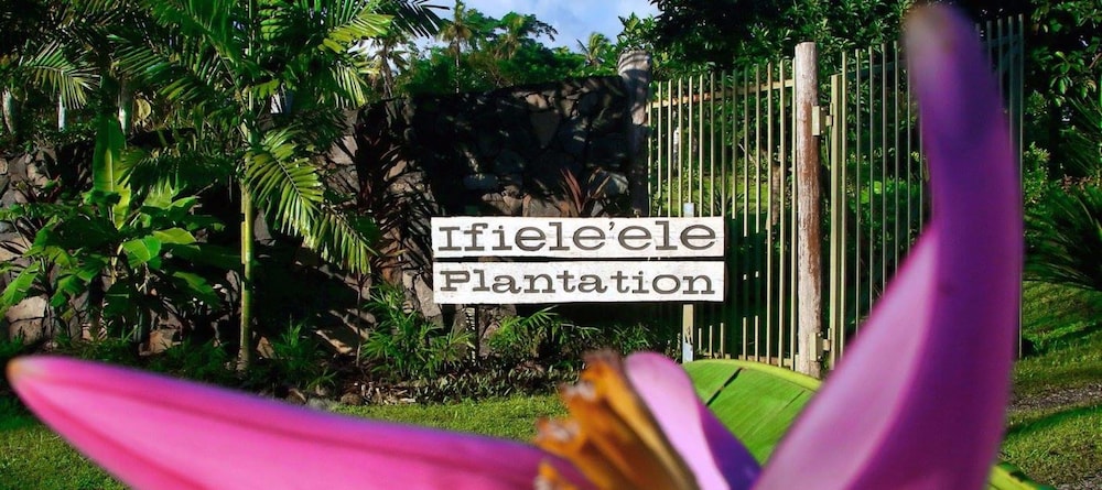 Ifieleele Plantation 22/26
